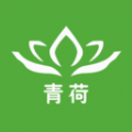 青荷健康app下载-青荷健康手机版v1.0.2