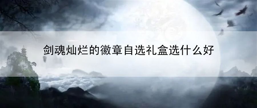 剑魂灿烂的徽章自选礼盒选什么好：地图隐藏元素探